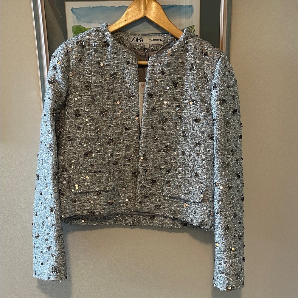 Zara Silver Sequin Embellished Jacket